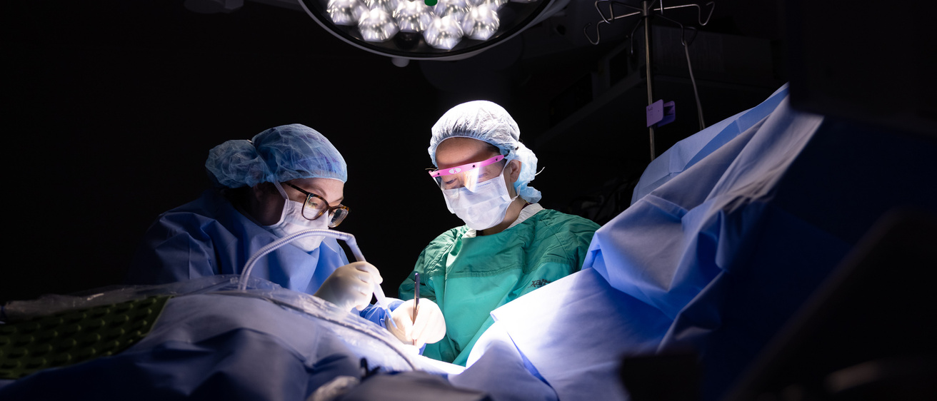 Fellow works with doctor breast cancer surgery photo